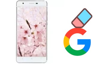 Cómo borrar la cuenta de Google en VC Maple