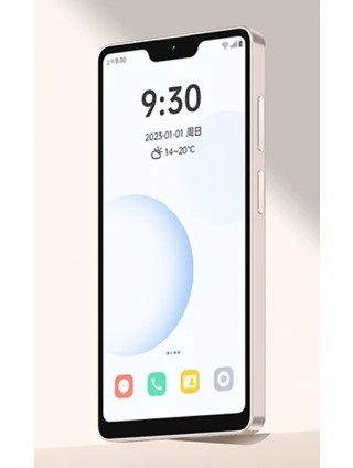 Duoqin Qin3 Pro