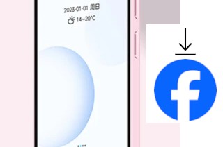 Cómo instalar Facebook en un Duoqin Qin3