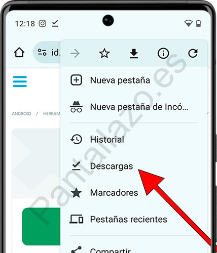 Descargas Chrome