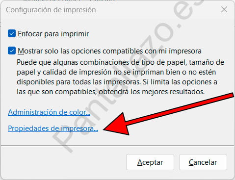 Propiedades de impresora Windows