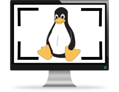 Cómo hacer una captura de pantalla en Linux