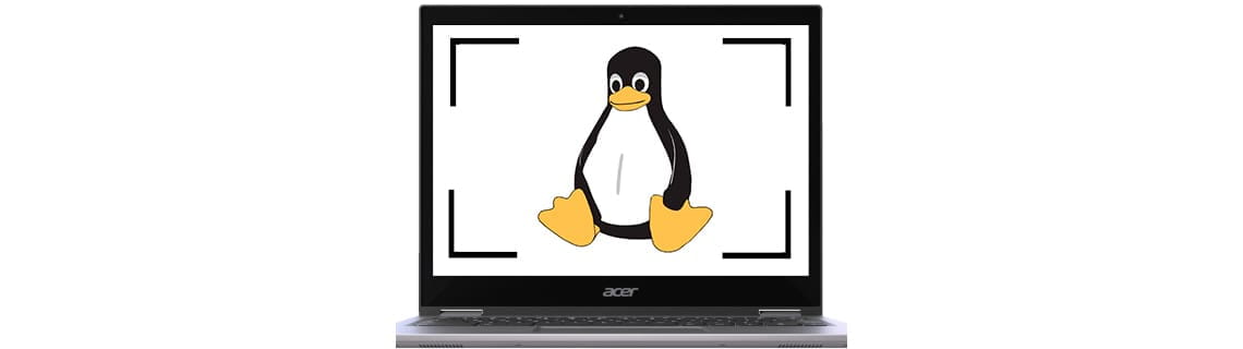 Cómo hacer una captura de pantalla en Linux