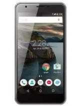 Own S1 P