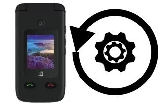 Cómo hacer reset o resetear un Cloud Mobile Mist