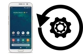 Cómo hacer reset o resetear un Doro 8080