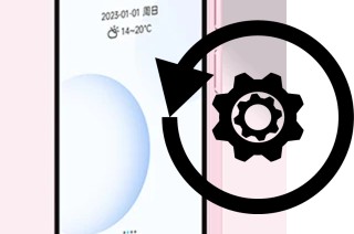Cómo hacer reset o resetear un Duoqin Qin3