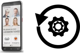 Cómo hacer reset o resetear un Emporia SMART.5 mini