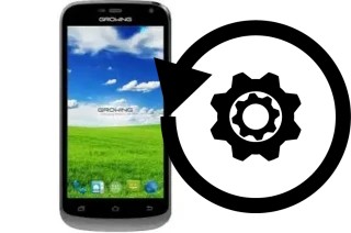 Cómo hacer reset o resetear un Growing Z4 Plus