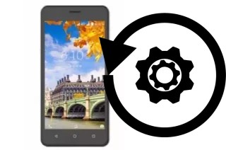 Cómo hacer reset o resetear un Ibrit VI51
