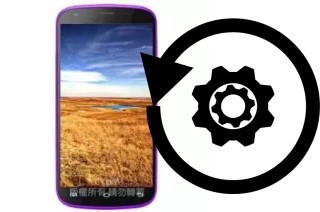Cómo hacer reset o resetear un MTO MK399