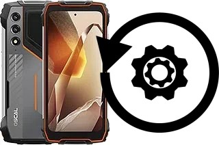 Cómo hacer reset o resetear un Oscal Pilot 1
