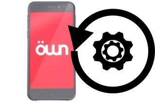 Cómo hacer reset o resetear un Own One