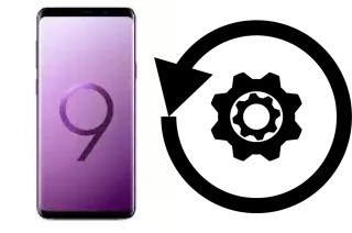 Cómo hacer reset o resetear un Samsung Galaxy S9+ Exynos