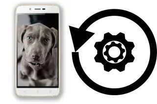 Cómo hacer reset o resetear un Siswoo A6 Vanilla
