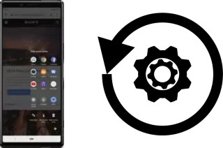 Cómo hacer reset o resetear un Sony Xperia 1