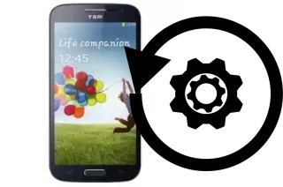 Cómo hacer reset o resetear un TSM T968