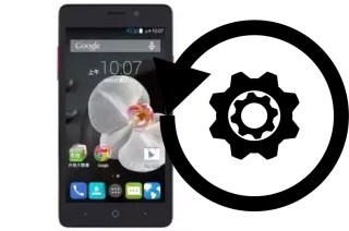 Cómo hacer reset o resetear un TWM Amazing X5