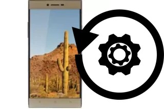 Cómo hacer reset o resetear un VC Cactus