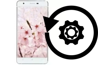 Cómo hacer reset o resetear un VC Maple II