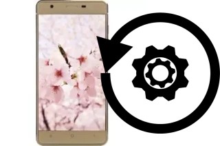 Cómo hacer reset o resetear un VC Sakura II