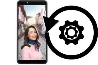 Cómo hacer reset o resetear un Vestel Venus Z20