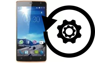 Cómo hacer reset o resetear un Viwa X55