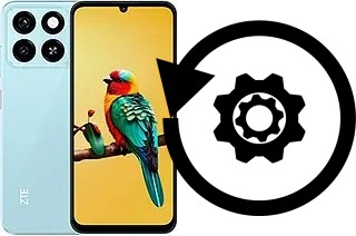 Cómo hacer reset o resetear un ZTE Blade A55