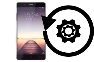 Cómo hacer reset o resetear un ZYQ Q-Boss P99