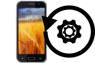 Cómo hacer reset o resetear un ZYQ Q UP C5