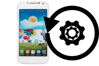 Cómo hacer reset o resetear un ZYQ Q328