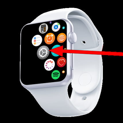 Ajustes Apple Watch
