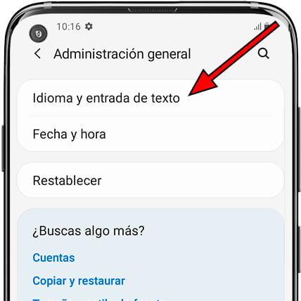 Idioma y entrada de texto Samsung