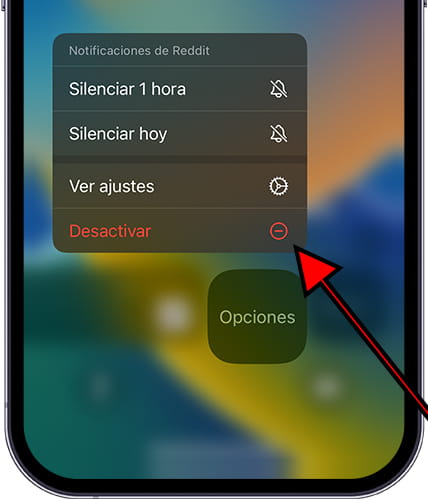 Desactivar notificación iOS