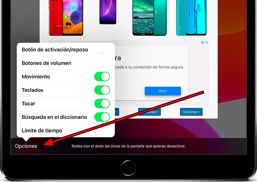 Opciones acceso guiado
