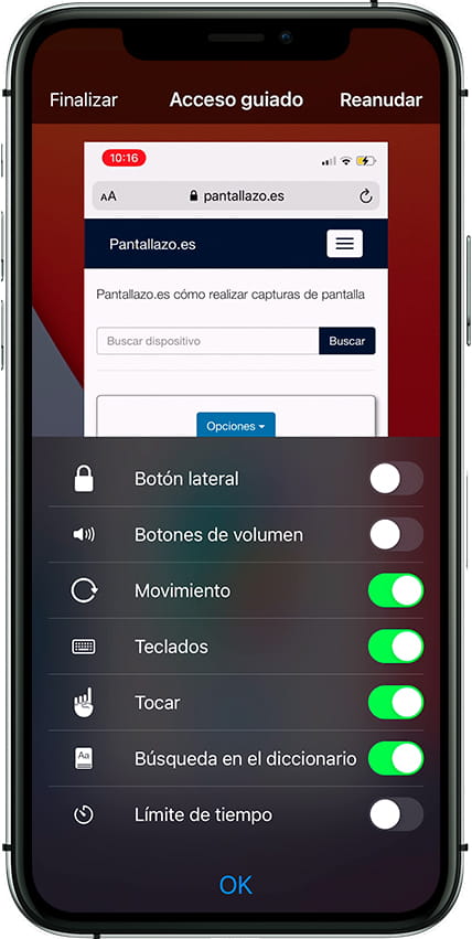 Opciones acceso guiado