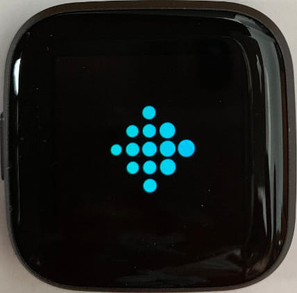Iniciando Fitbit