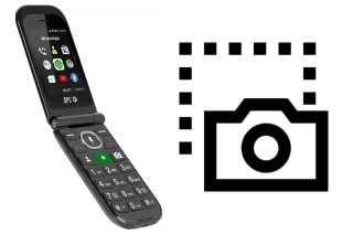 Captura de pantalla en SPC jasper