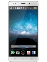 TWZ Y60