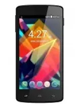 Walton Primo GM Mini