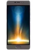 Walton Primo RM3s