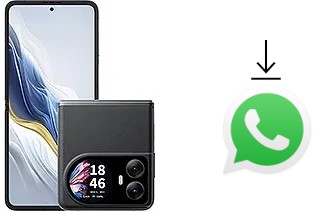 Cómo instalar WhatsApp en un Blackview Hero 10