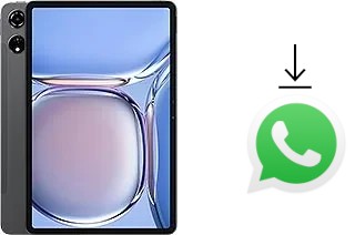 Cómo instalar WhatsApp en un Blackview Mega 3