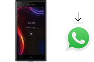 Cómo instalar WhatsApp en un Brigmton BPhone 551QC