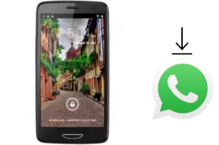 Cómo instalar WhatsApp en un Changjiang N5300