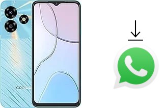Cómo instalar WhatsApp en un Coolpad C15