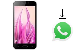 Cómo instalar WhatsApp en un DOK D207