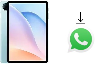 Cómo instalar WhatsApp en un Doogee Tab A9