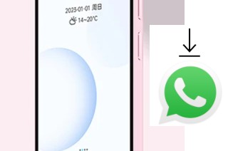Cómo instalar WhatsApp en un Duoqin Qin3
