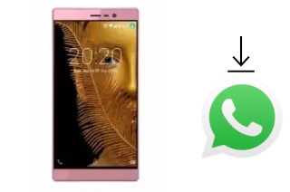 Cómo instalar WhatsApp en un Fero X1